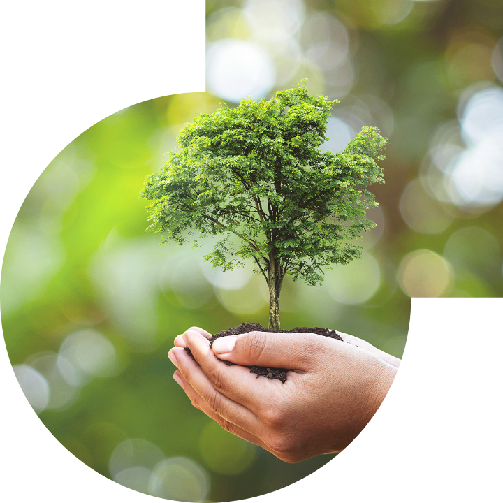 关怀人类、文化、环境与社会